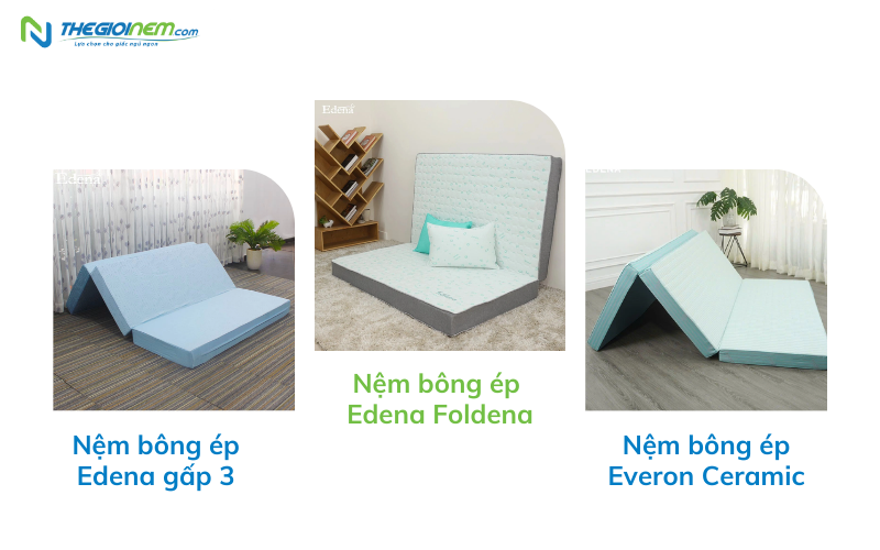 Nệm bông ép Edena 